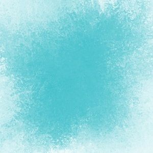 Meet your Posher, Maggie